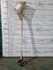 Плакуча Шовковиця на штамбі "Morus Pendula"  висота штамба 160+ см 1445 фото 8