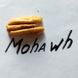 Пекан Мохав (Mohawk) 3- х річний 494-3 фото 1