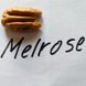Пекан Мелроз (Melrose) 2-х річний 491-2 фото 1